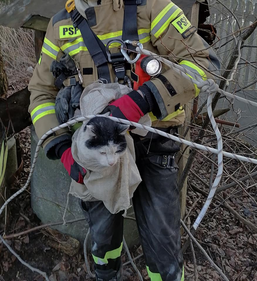 Przeworscy strażacy wyciągnęli kota ze studni 