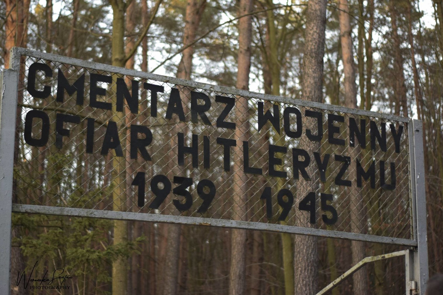 Remont Cmentarza Wojennego Ofiar Hitleryzmu z II wojny światowej w Jagielle