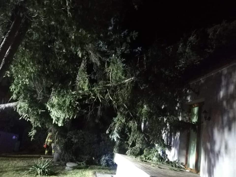 Wiatr przewrócił drzewo na dom