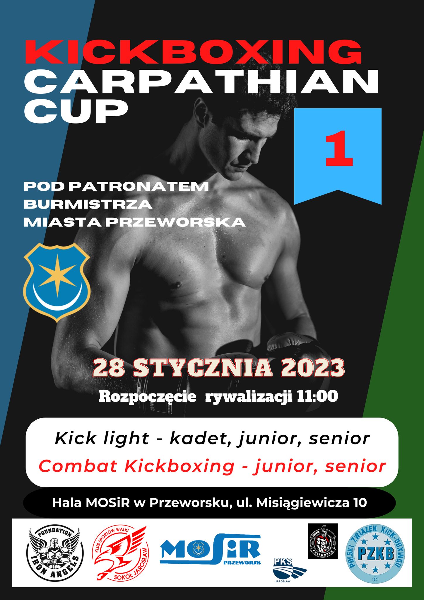 Kickboxing Carpathian Cup