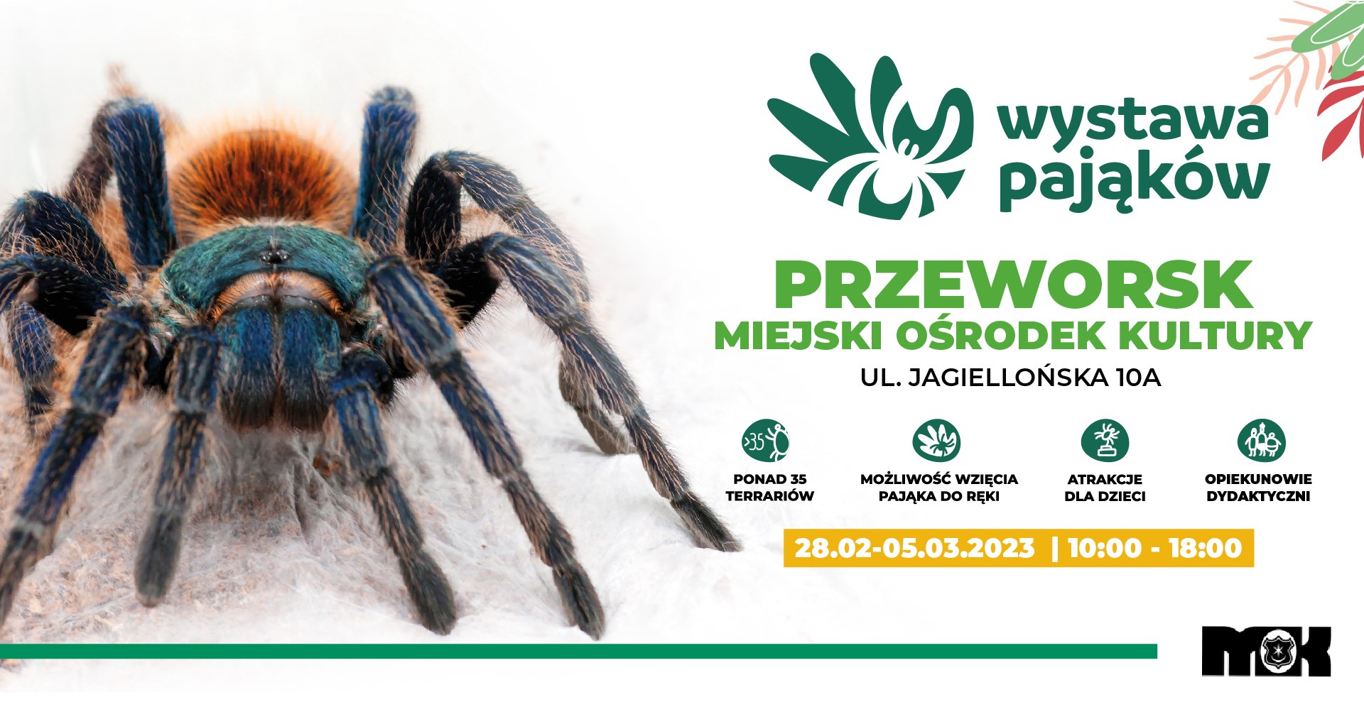 Wystawa Pająków w MOK Przeworsk 28.02-05.03
