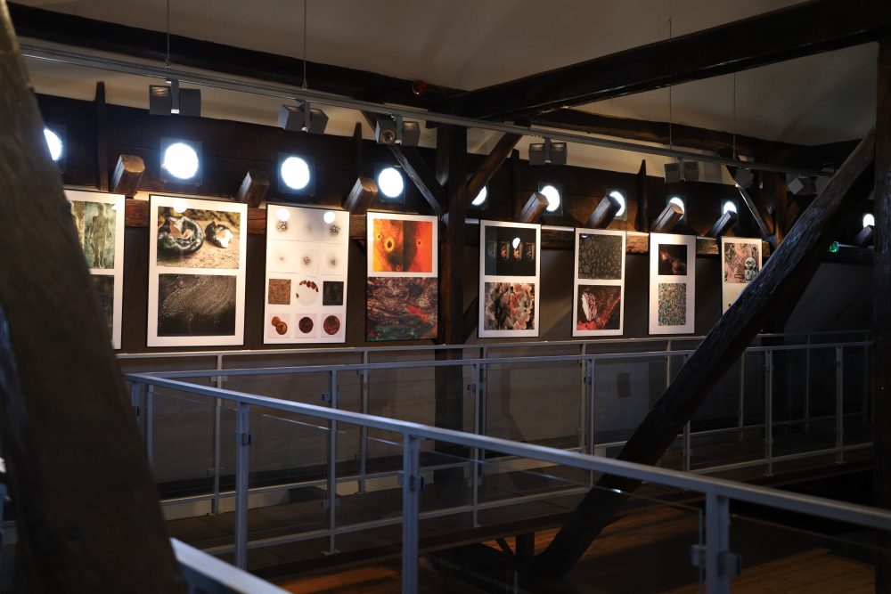 Uroczyste otwarcie wystaw w Galerii Magistrackiej w przeworskim Ratuszu