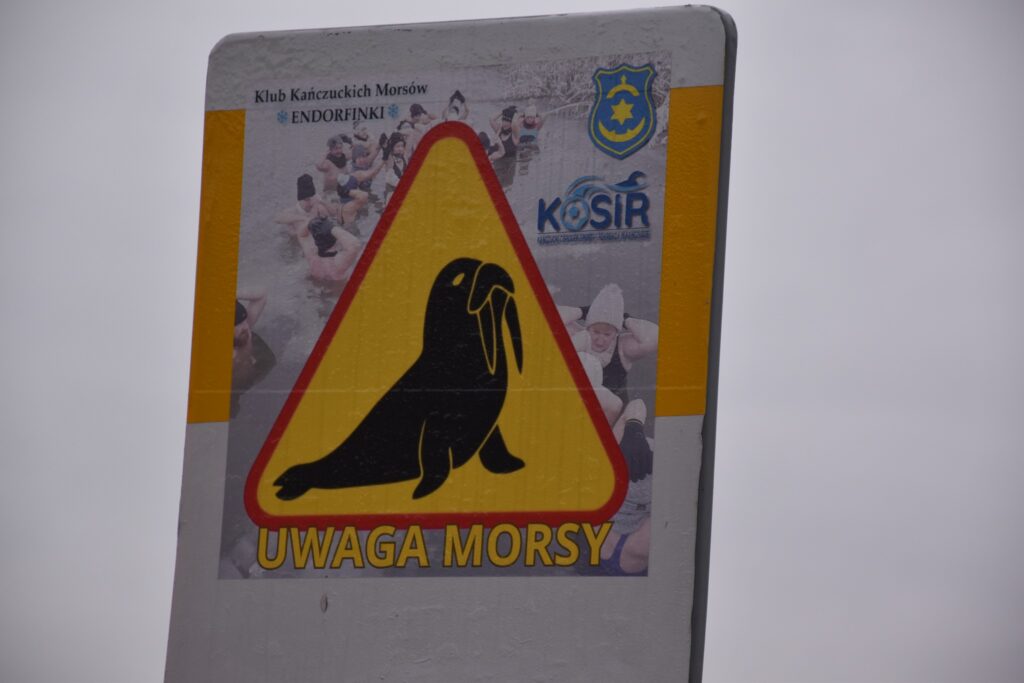 Mikołajkowe Charytatywne Morsowanie W Łopuszce Małej 1 Mikołajkowe Charytatywne Morsowanie W Łopuszce Małej