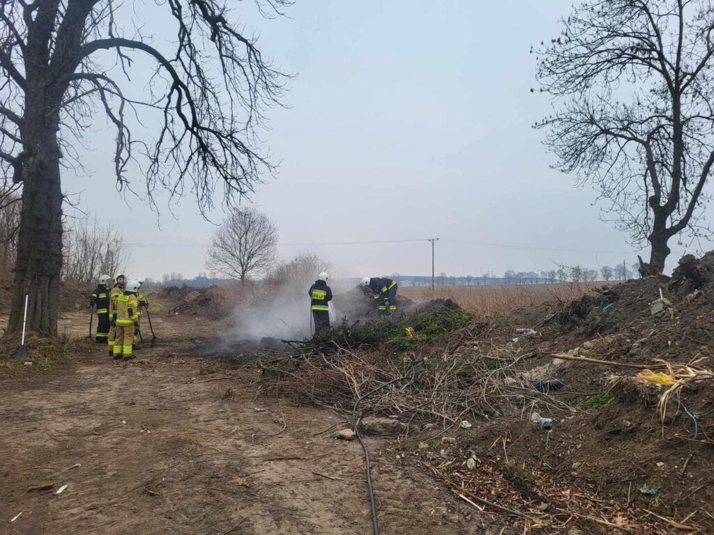 Pożar traw i gałęzi w Krzeczowicach 1 Pożar traw i gałęzi w Krzeczowicach