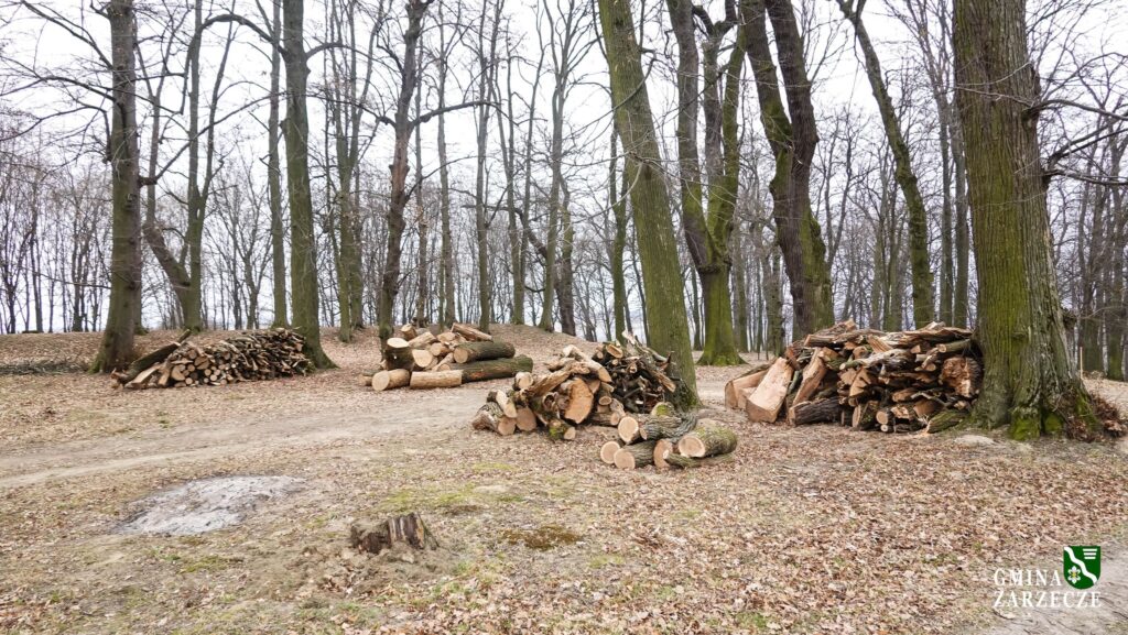 Prace Porządkowe W Gminie Zarzecze