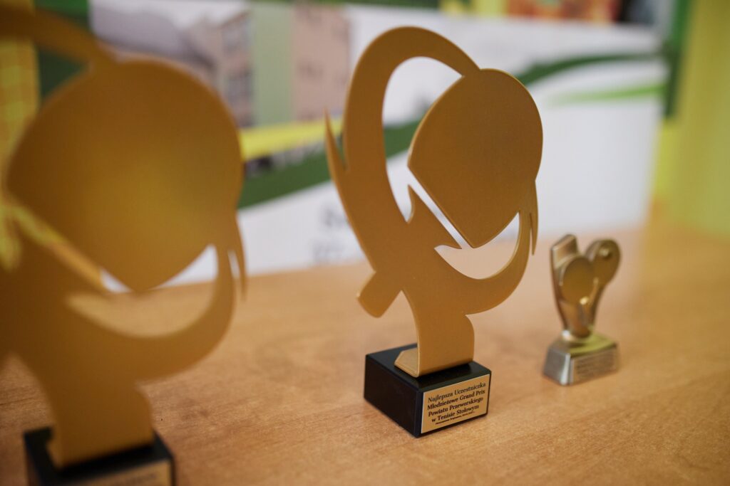 Zakończenie Młodzieżowego Grand Prix Powiatu Przeworskiego W Tenisie Stołowym