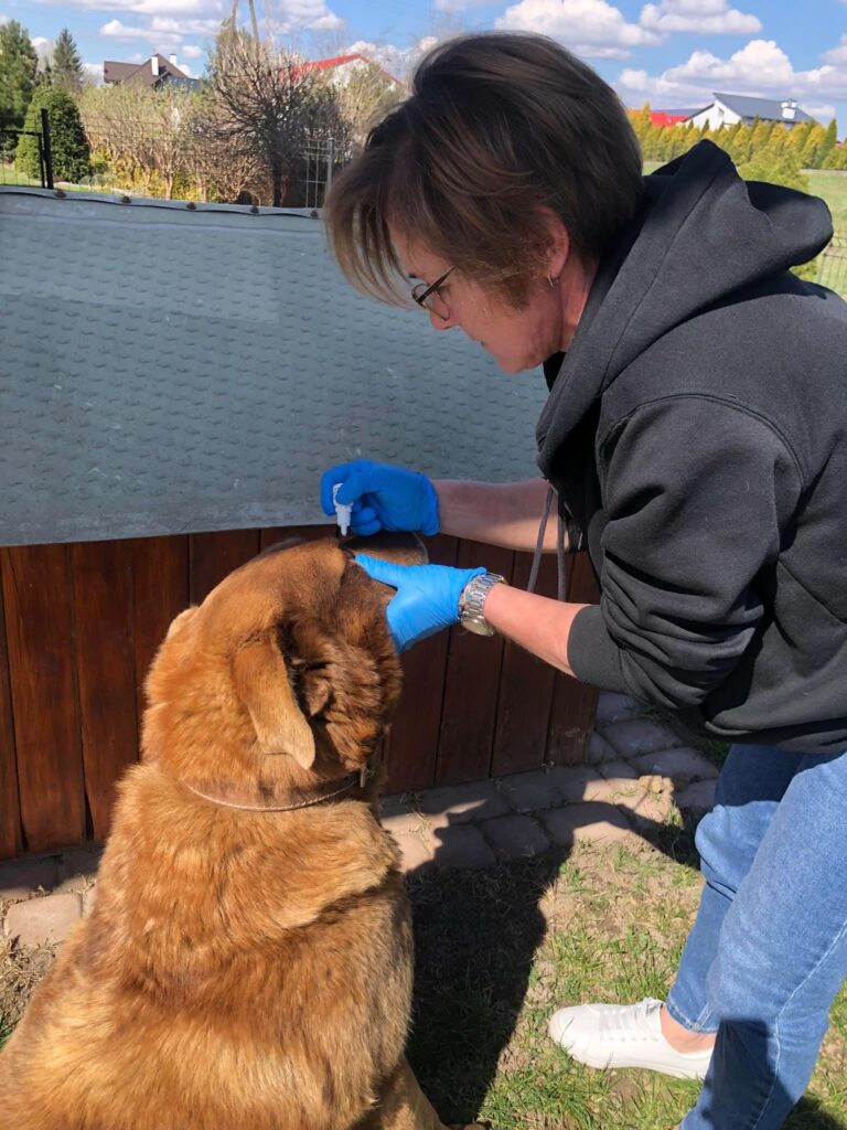 Blisko 2 Miliony Złotych Z Ue Na Aktywizację Mieszkańców Gminy Tryńcza