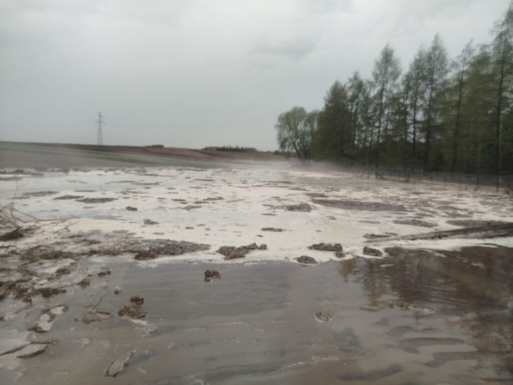 Druhowie Z Wierzbnej Nieustannie Pomagają W Pawłosiowie