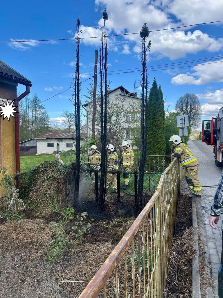 Akcja gaśnicza w Sieteszy. Pożar tuji