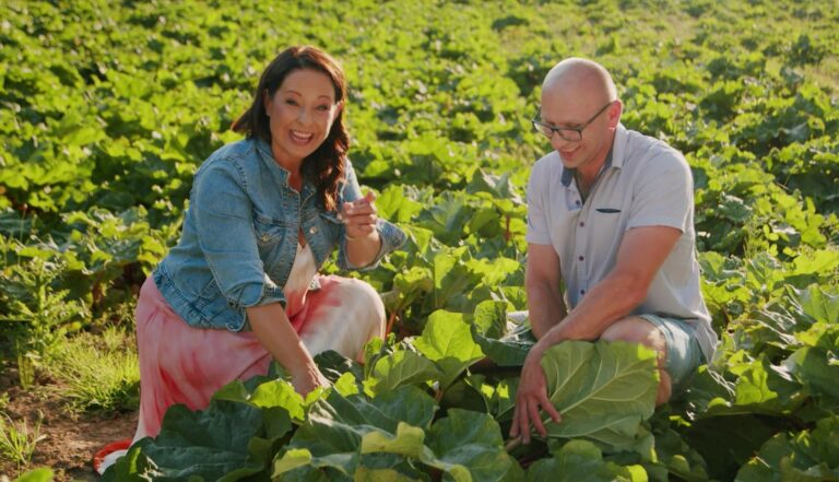 Łopuszka Wielka na ekranach TVP. Eko-gospodarstwo w popularnym programie kulinarnym