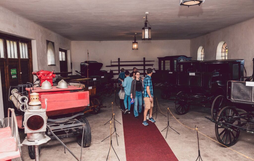 495037070_1235843085215959_6774690406356266526_n