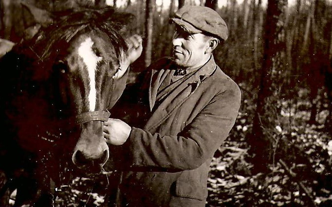 Kronika dawnych czasów. Park Konny Nadleśnictwa Sieniawa