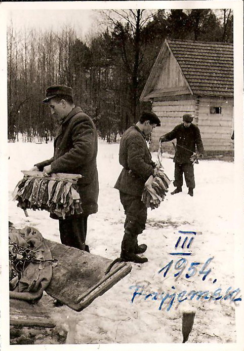 Kronika dawnych czasów. Park Konny Nadleśnictwa Sieniawa