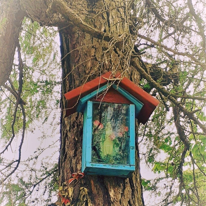 Przydrożne Kapliczki I Krzyże – Niemi Świadkowie Historii I Wiary Na Podkarpaciu