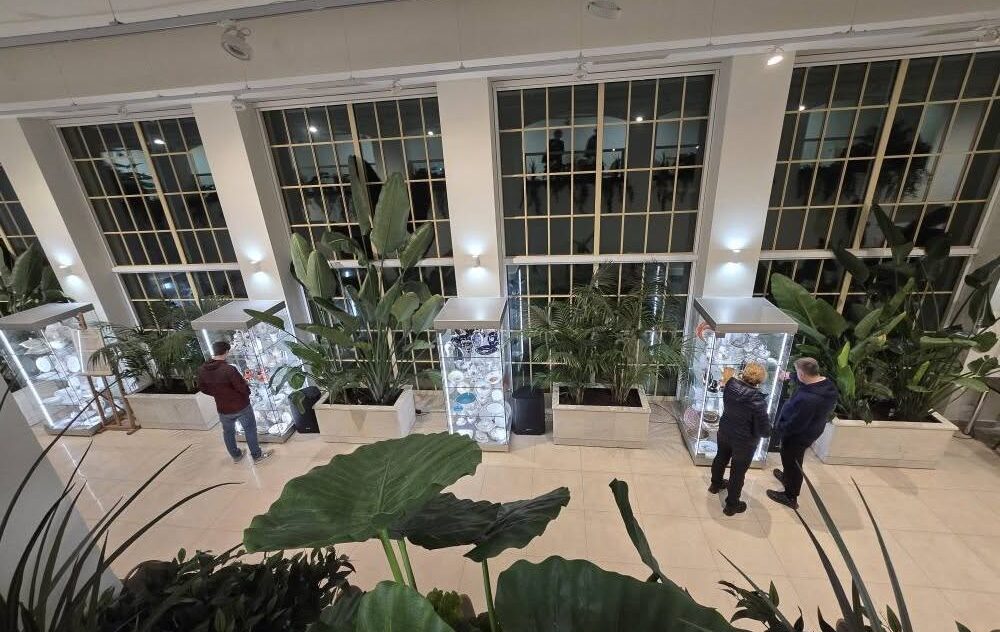 500134224_1254904786643122_3853897227033648549_n