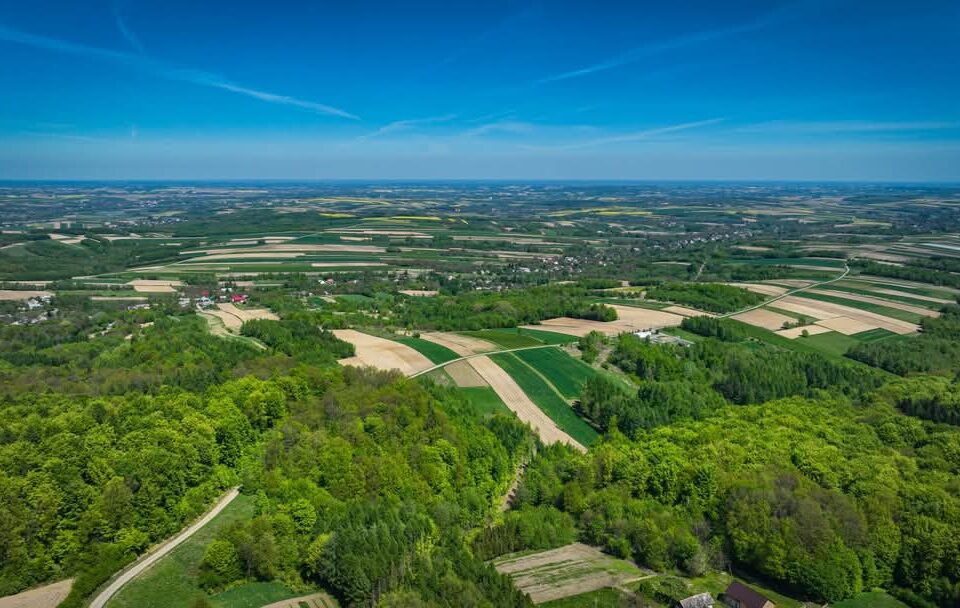 Majowa eksplozja barw w Gminie Kańczuga. Przyroda zachwyca z lotu ptaka