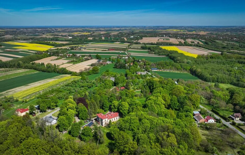 Majowa eksplozja barw w Gminie Kańczuga. Przyroda zachwyca z lotu ptaka