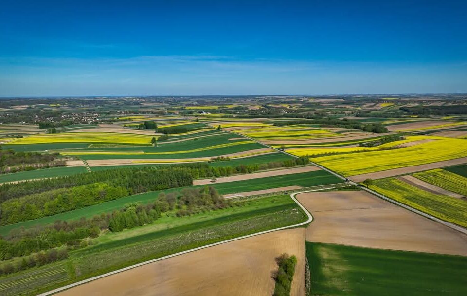 Majowa eksplozja barw w Gminie Kańczuga. Przyroda zachwyca z lotu ptaka