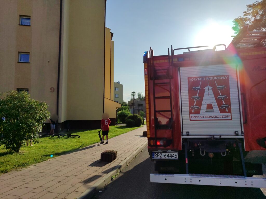 494217771 1097543392422911 5430726030010801779 n