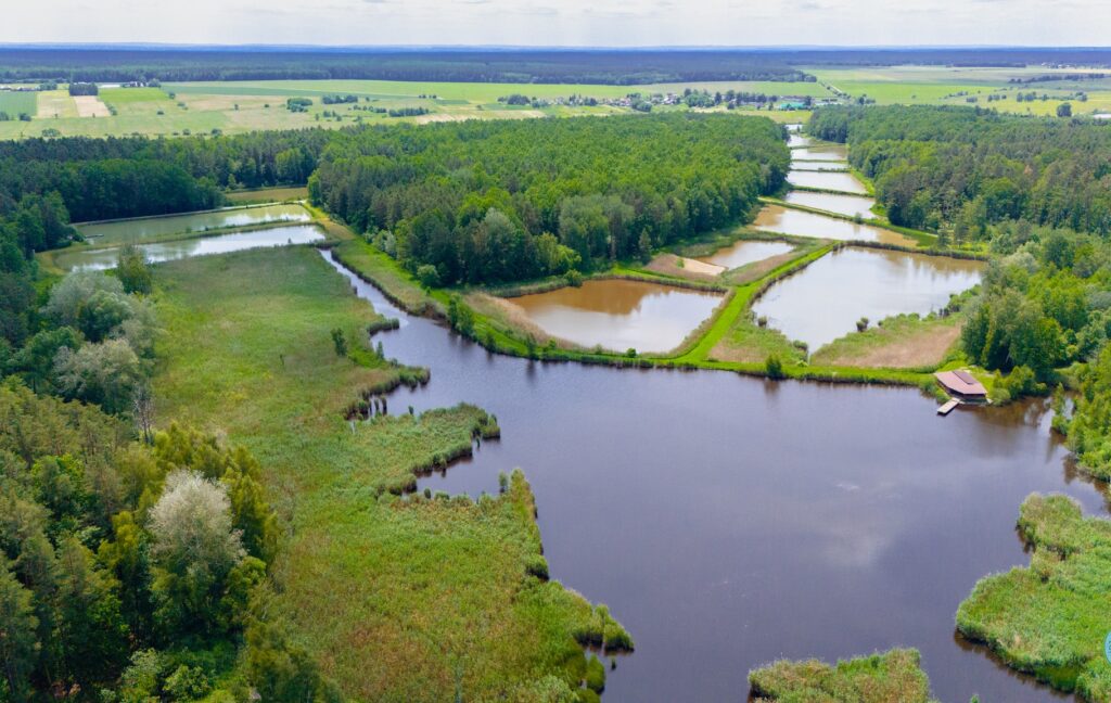 496954262 1022449756736453 1861123666842132336 n