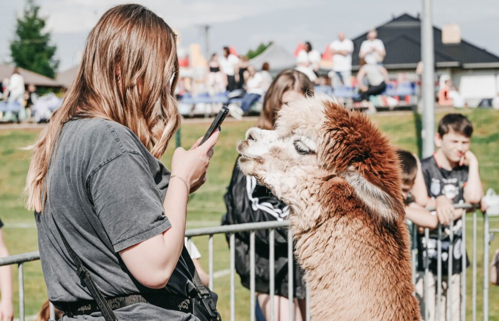 498171269 1093197006174785 5535161560144532431 N