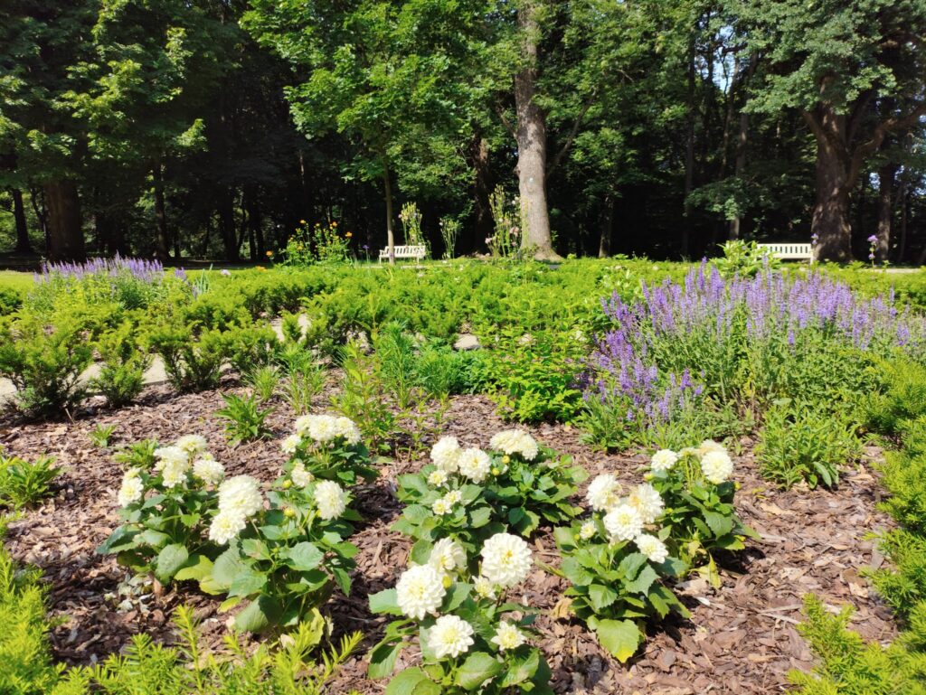 500082884 1268650871935180 6804127499680566098 n