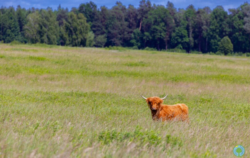 500546540 1022450233403072 8709439115744526473 n