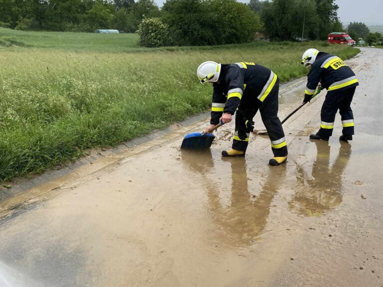 500598483 718814017462749 3657593818961448042 n