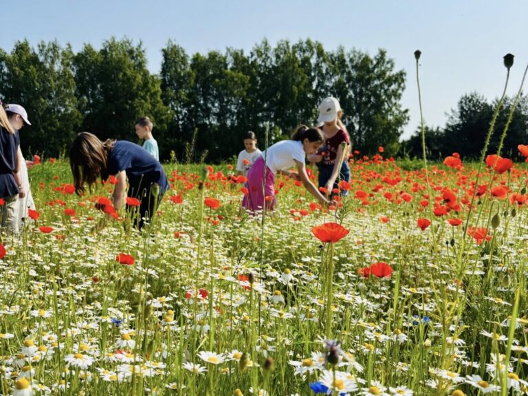 500839881 734786008931999 3594120379531132581 n