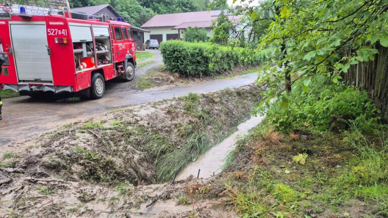 503486687 1027072789539627 5924209001297304316 n