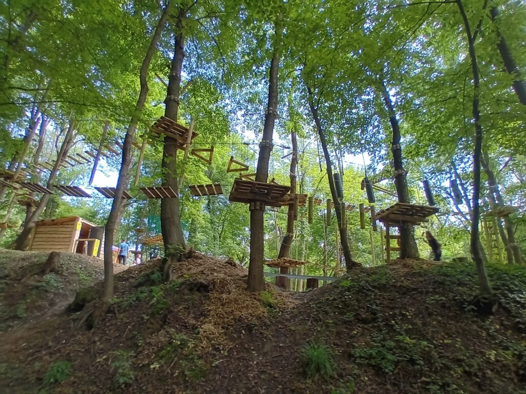 503689007 1276486374199653 2309968736737908091 n