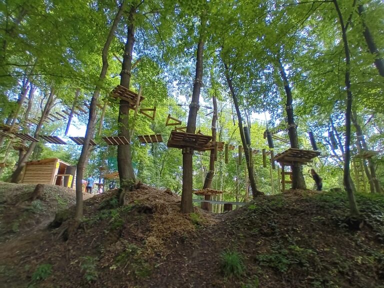 503689007 1276486374199653 2309968736737908091 n