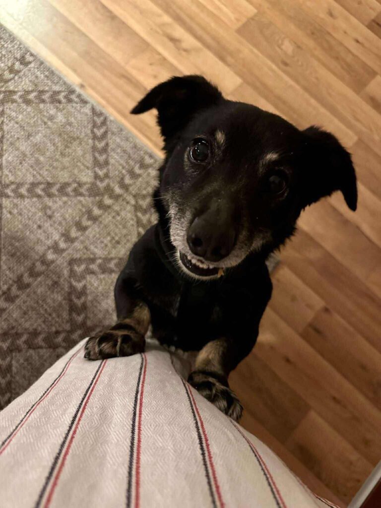 503768337 554573411058138 6848272971328690907 n