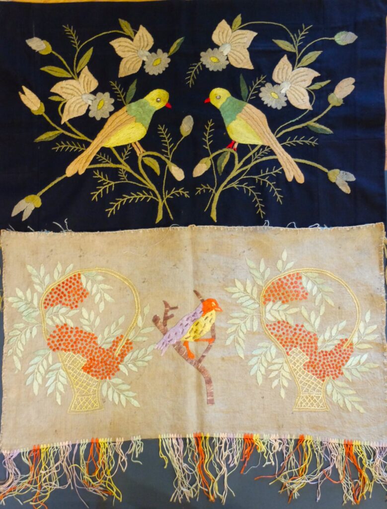 503837884 1264192079047726 1706485882192636712 n