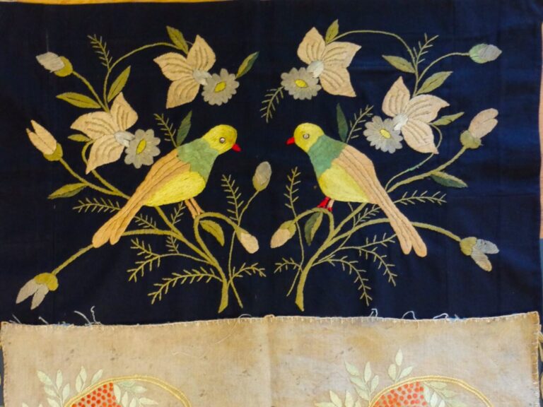 503837884 1264192079047726 1706485882192636712 n