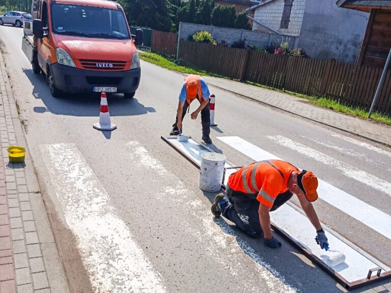 503848502 732165459501979 988433397901643792 n