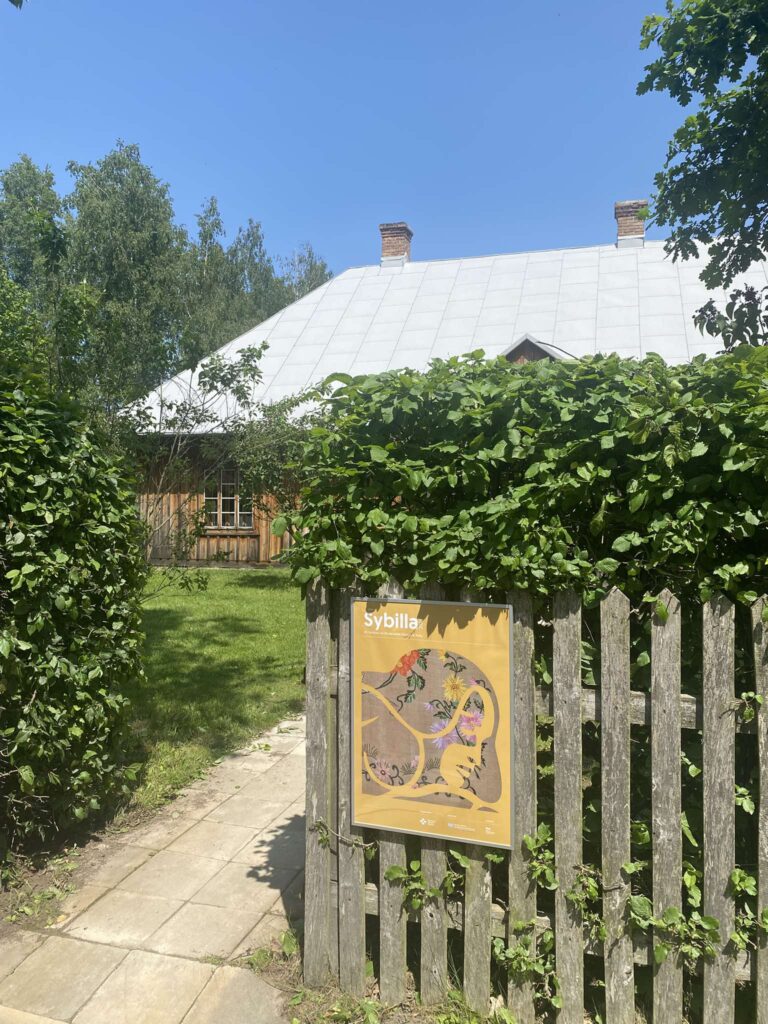 503894550 1264192155714385 5915486714000753398 n