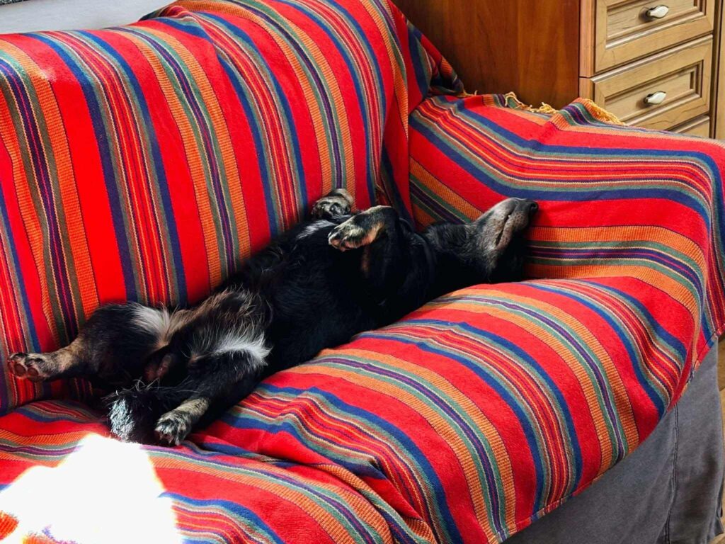 504002147 554573457724800 5154584532294755692 n