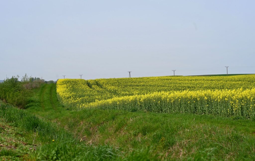 504122192 122266710200226451 6409763540075343057 n 504122192 122266710200226451 6409763540075343057 n