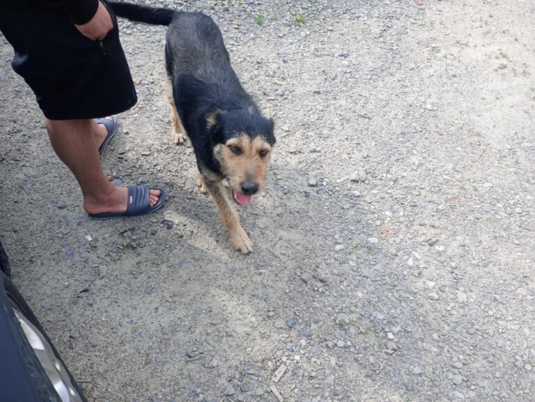 504426395 1159895082847992 8952839953906970617 n