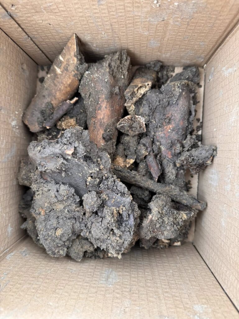 504687887 2265292313911809 6662981517233677427 n