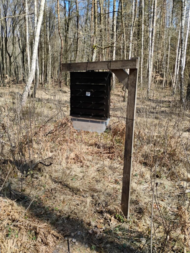 504714711 1147415214098475 2429088215392390399 n