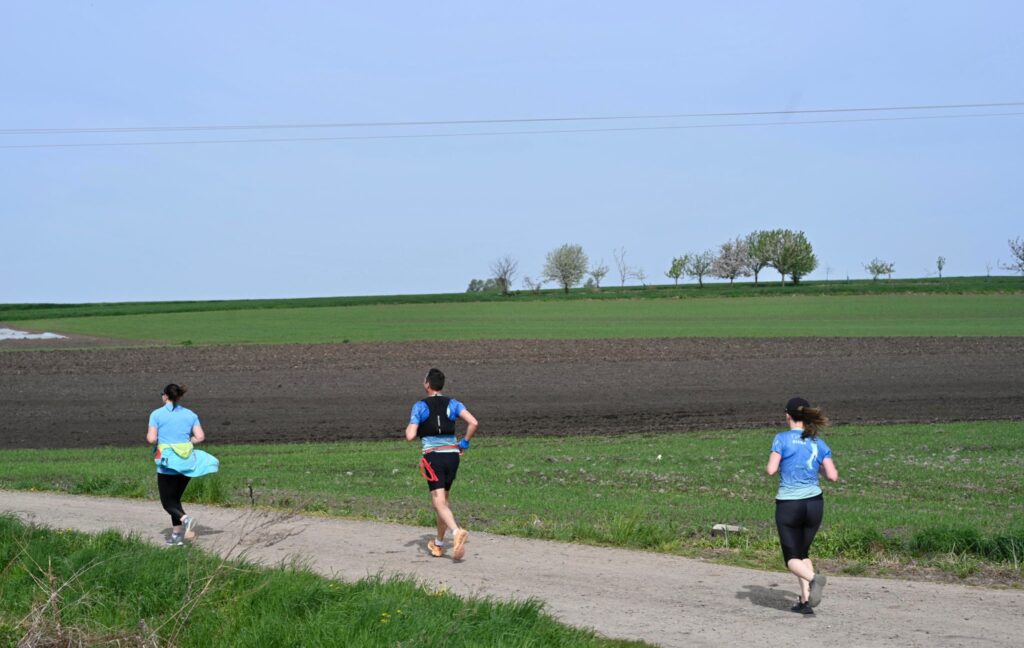 trasy I Galicyjskiej 10-tki trasy I Galicyjskiej 10-tki