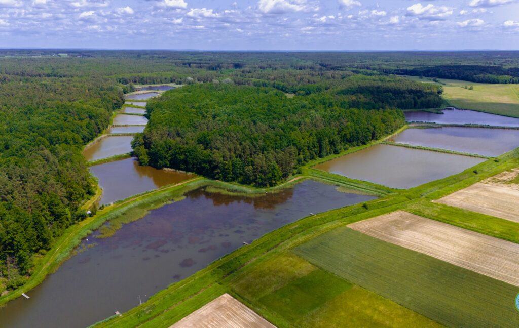 504825776 1022449250069837 2883944466438387578 n