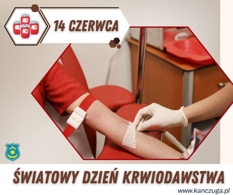 504880337 1162785022558998 5271282675638212231 n