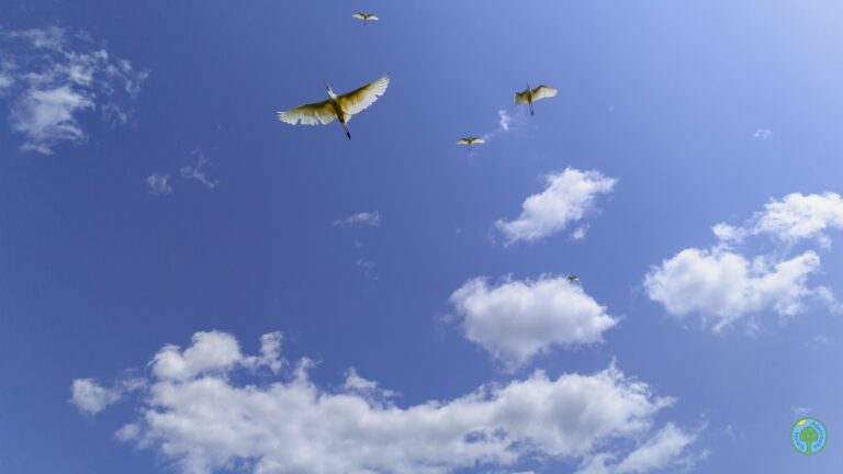 505720883 1022449366736492 8229278364416296807 n