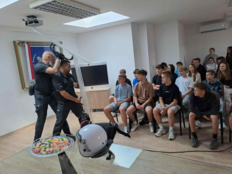 505781007 1194820289108759 9016027247650745741 n