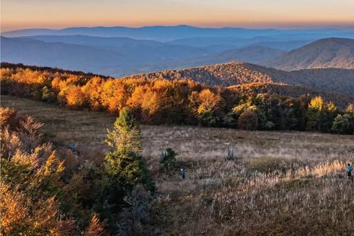 505807492 1023200483295282 7348722300240025293 n