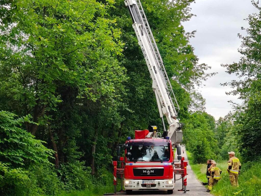 506401218 1032491868994130 2888854977209430301 n