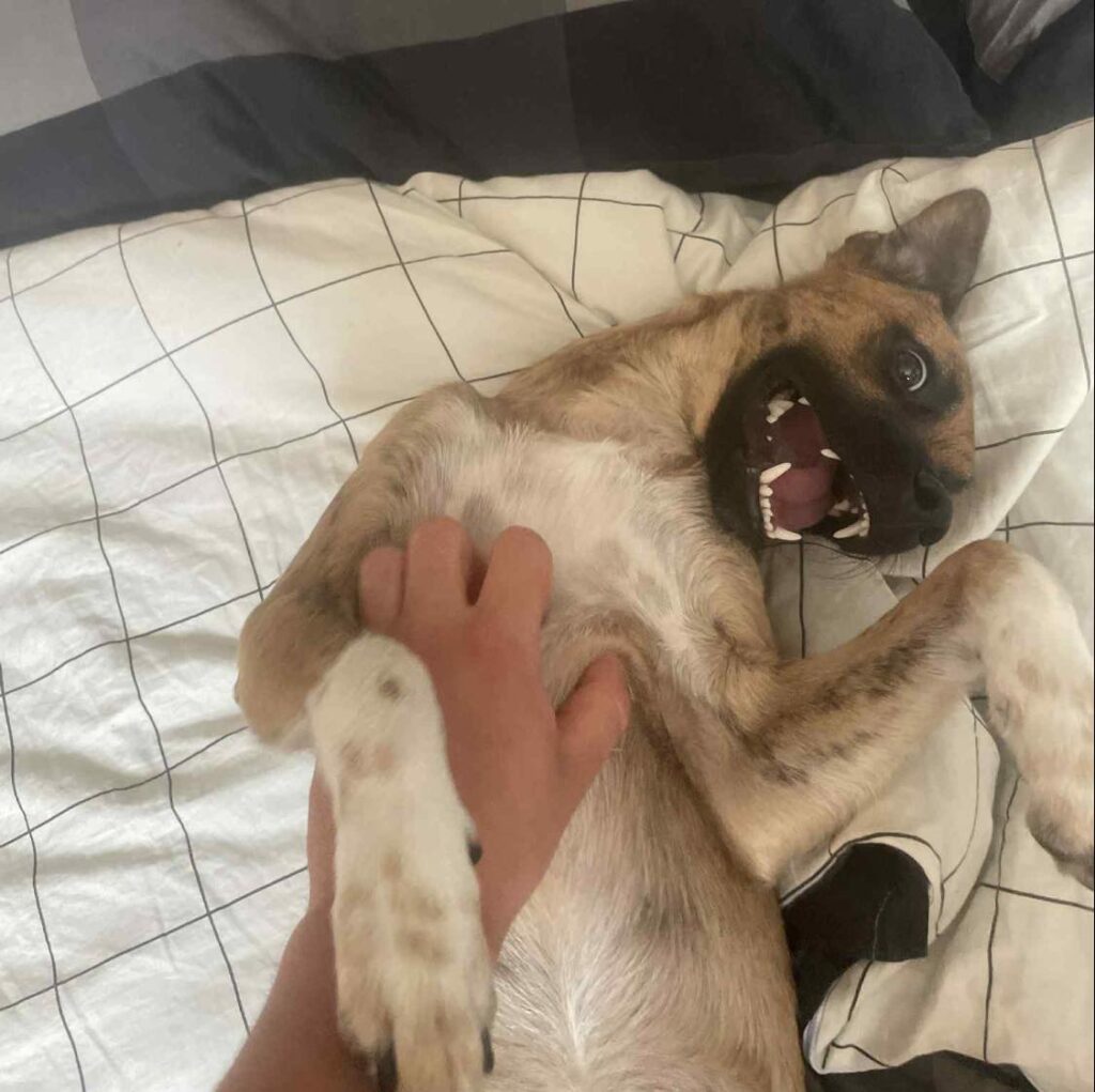 506478660 561957333653079 8628021082398387983 n